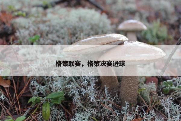 格策联赛，格策决赛进球