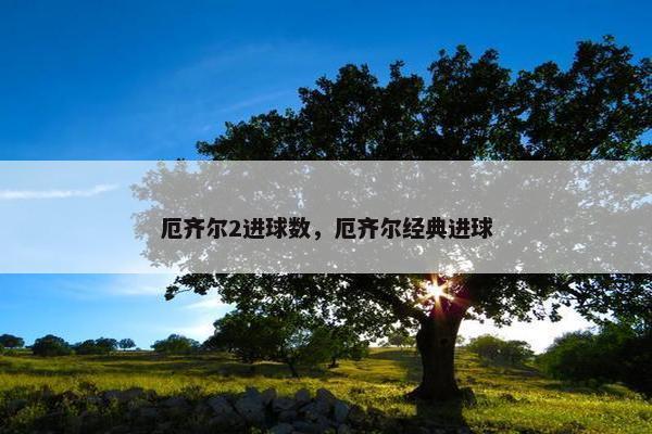 厄齐尔2进球数，厄齐尔经典进球