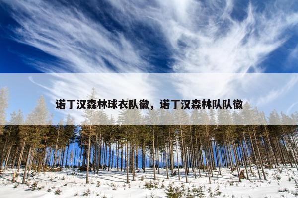 诺丁汉森林球衣队徽，诺丁汉森林队队徽