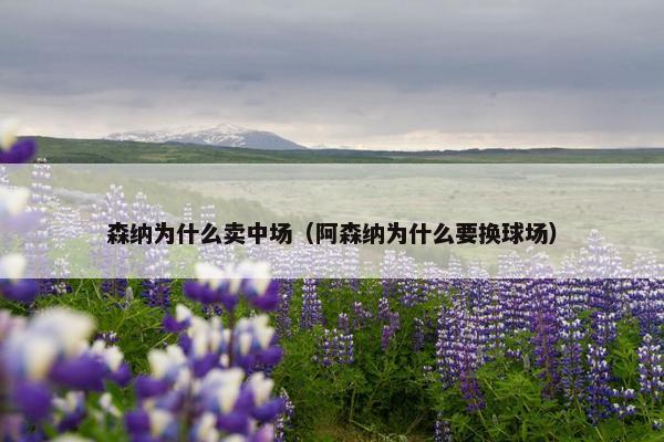 森纳为什么卖中场（阿森纳为什么要换球场）