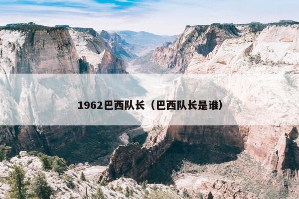 1962巴西队长（巴西队长是谁）