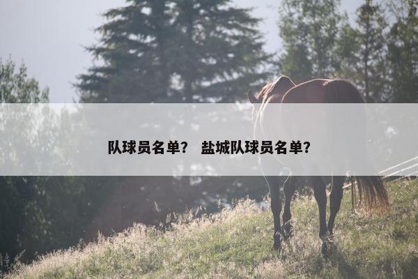 队球员名单？ 盐城队球员名单？