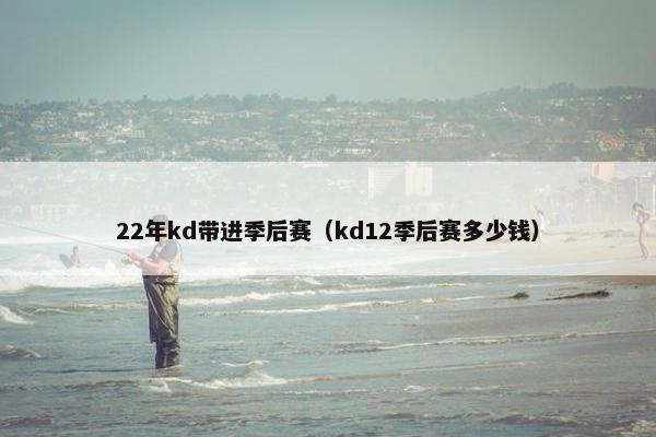 22年kd带进季后赛（kd12季后赛多少钱）