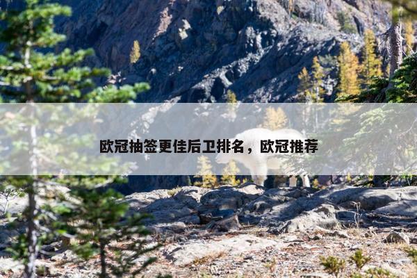 欧冠抽签更佳后卫排名，欧冠推荐