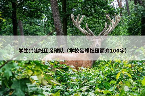 学生兴趣社团足球队（学校足球社团简介100字）