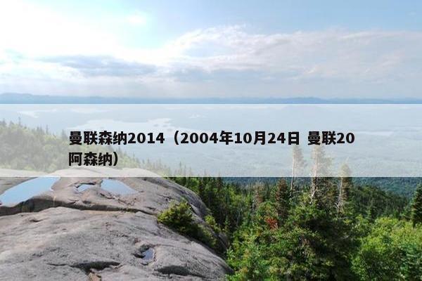 曼联森纳2014（2004年10月24日 曼联20阿森纳）