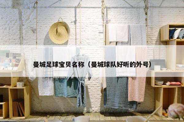 曼城足球宝贝名称（曼城球队好听的外号）