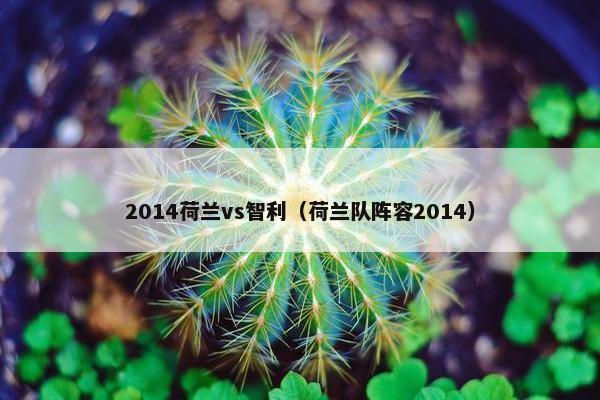 2014荷兰vs智利（荷兰队阵容2014）