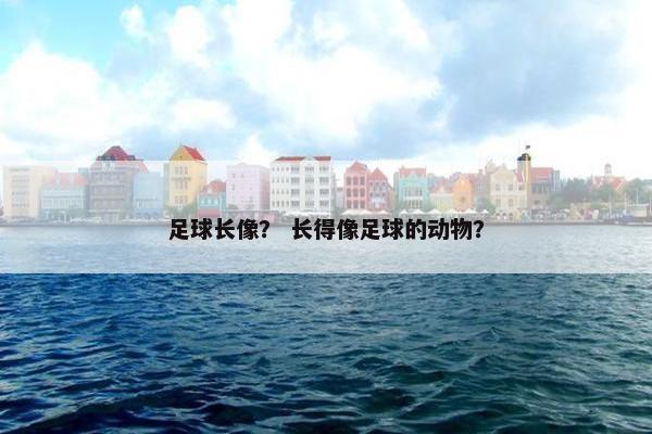 足球长像？ 长得像足球的动物？