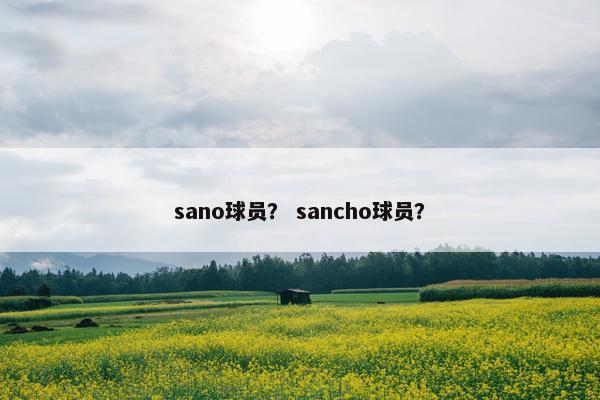 sano球员？ sancho球员？