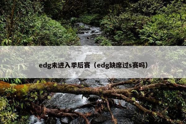 edg未进入季后赛（edg缺席过s赛吗）