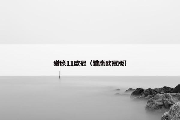 猎鹰11欧冠（猎鹰欧冠版）