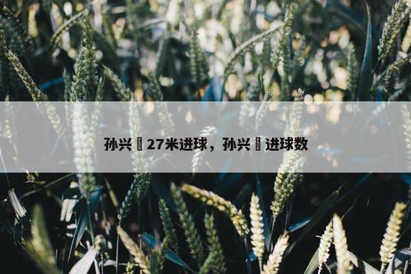 孙兴慜27米进球，孙兴慜进球数