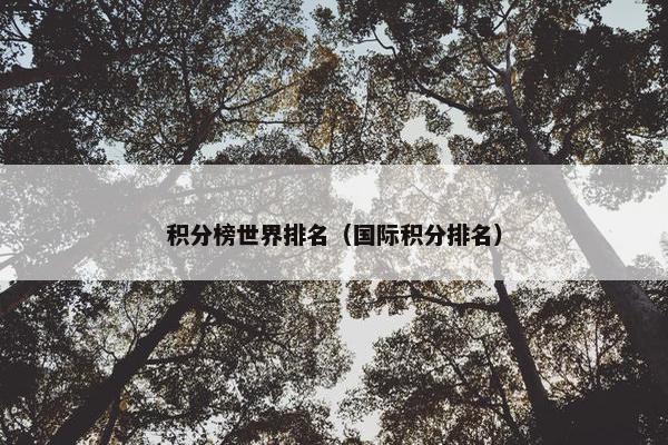 积分榜世界排名（国际积分排名）