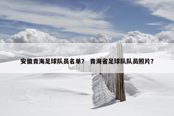 安徽青海足球队员名单？ 青海省足球队队员照片？