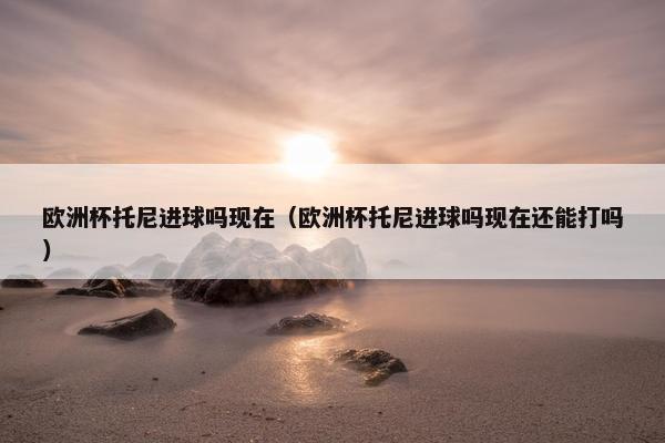 欧洲杯托尼进球吗现在（欧洲杯托尼进球吗现在还能打吗）