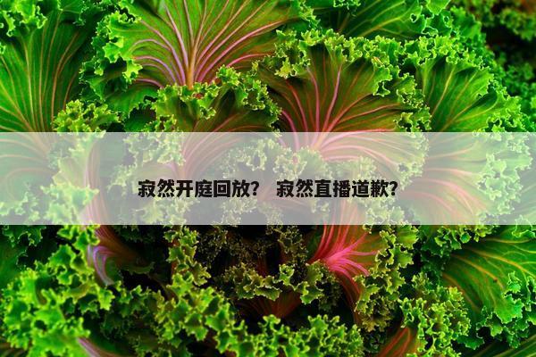 寂然开庭回放？ 寂然直播道歉？