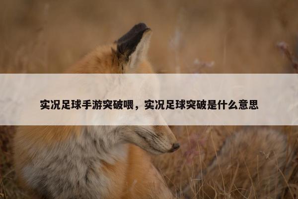 实况足球手游突破喂，实况足球突破是什么意思