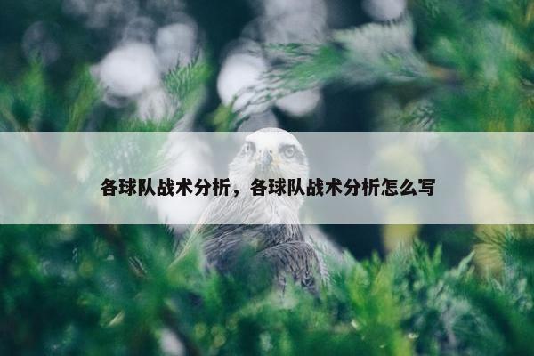 各球队战术分析，各球队战术分析怎么写