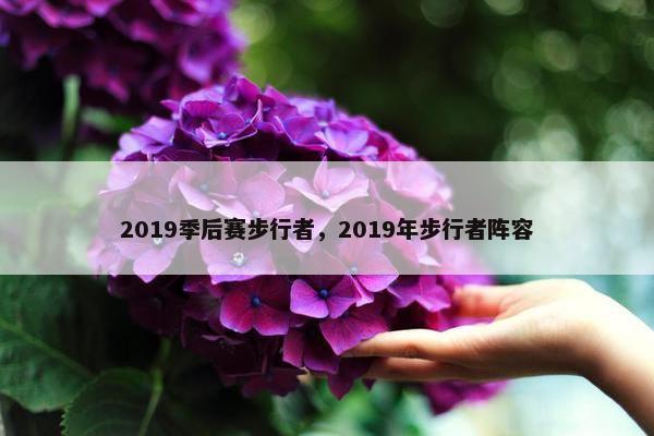 2019季后赛步行者，2019年步行者阵容