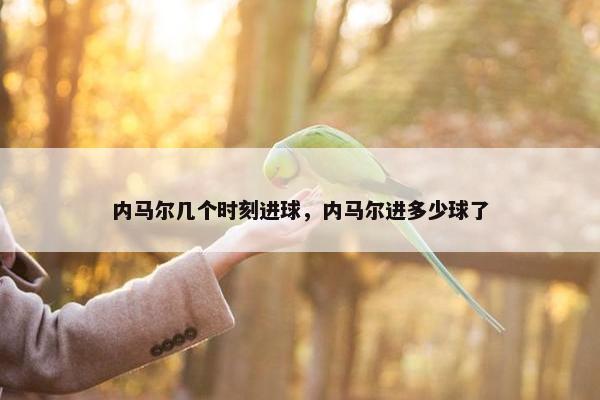 内马尔几个时刻进球，内马尔进多少球了