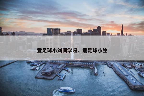 爱足球小刘同学呀，爱足球小生