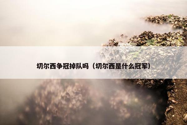 切尔西争冠掉队吗（切尔西是什么冠军）