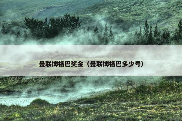 曼联博格巴奖金（曼联博格巴多少号）