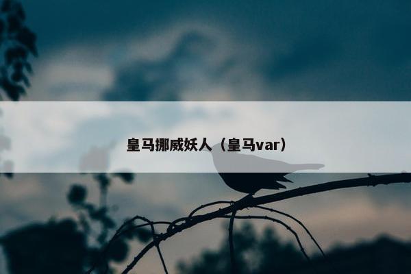 皇马挪威妖人（皇马var）