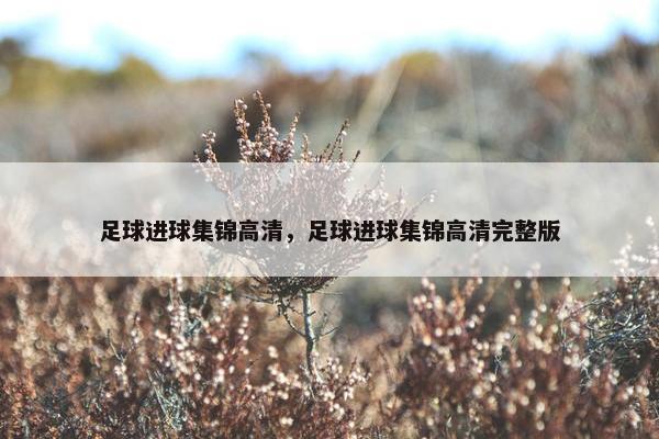 足球进球集锦高清，足球进球集锦高清完整版