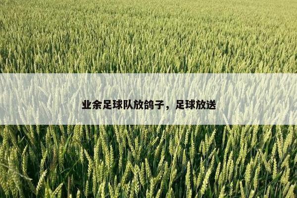 业余足球队放鸽子，足球放送