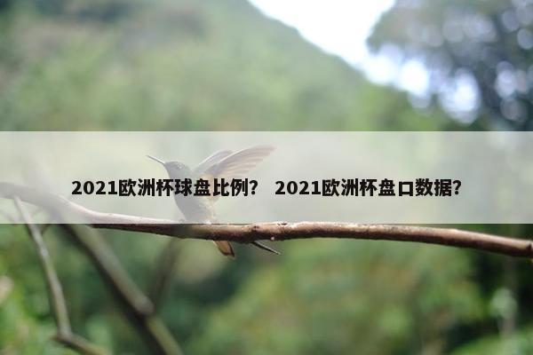 2021欧洲杯球盘比例？ 2021欧洲杯盘口数据？