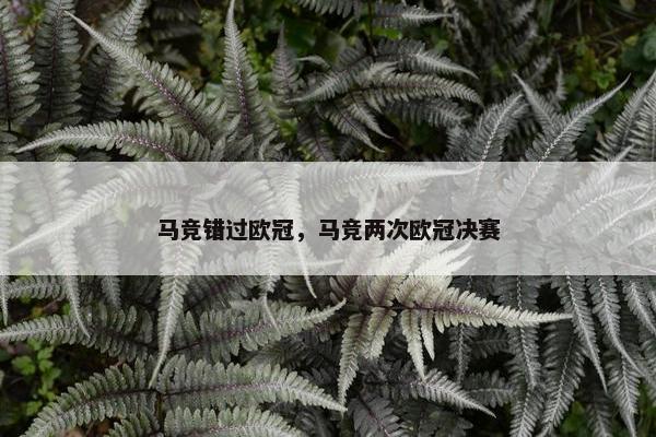 马竞错过欧冠，马竞两次欧冠决赛