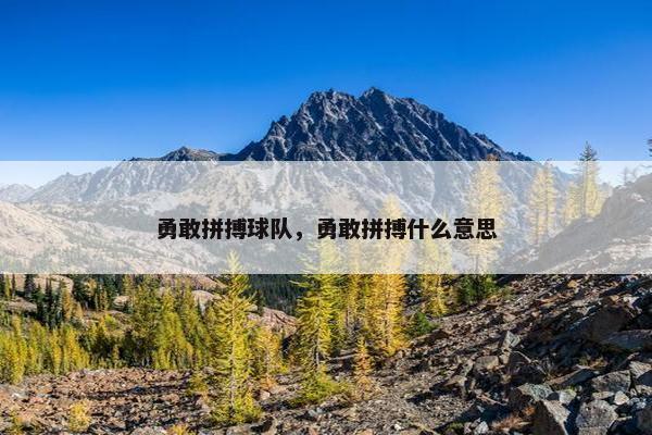 勇敢拼搏球队，勇敢拼搏什么意思