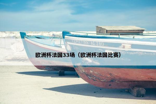 欧洲杯法国33场（欧洲杯法国比赛）