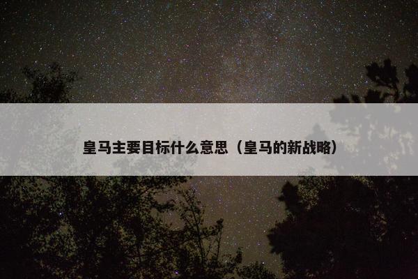 皇马主要目标什么意思（皇马的新战略）