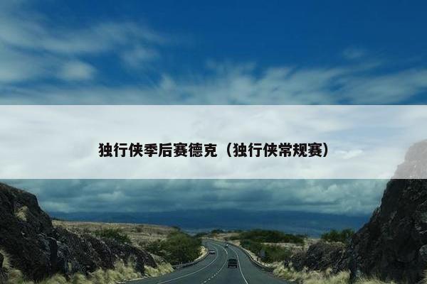 独行侠季后赛德克（独行侠常规赛）