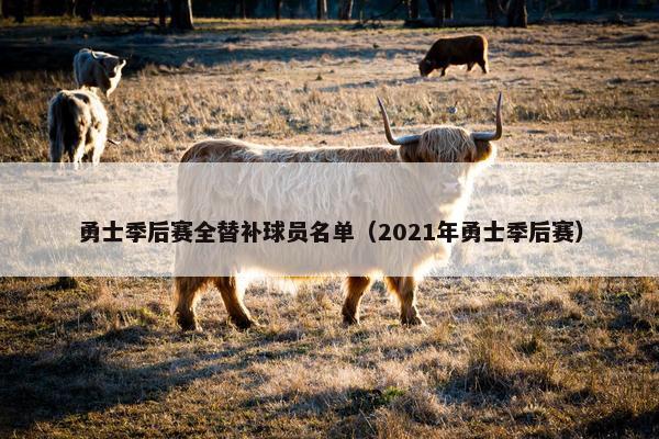 勇士季后赛全替补球员名单（2021年勇士季后赛）