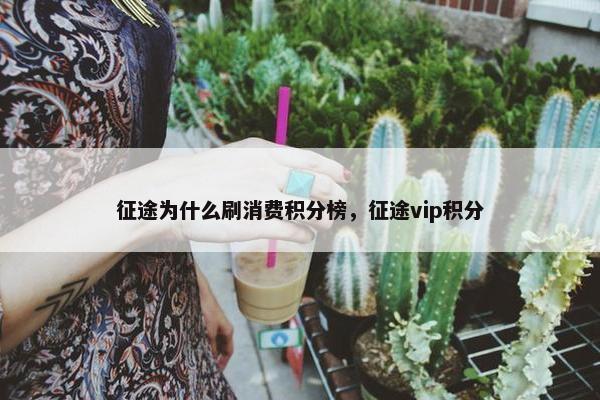 征途为什么刷消费积分榜，征途vip积分