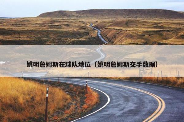 姚明詹姆斯在球队地位（姚明詹姆斯交手数据）
