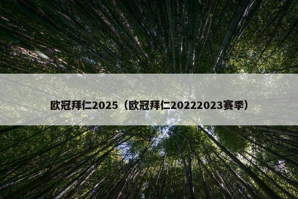 欧冠拜仁2025（欧冠拜仁20222023赛季）