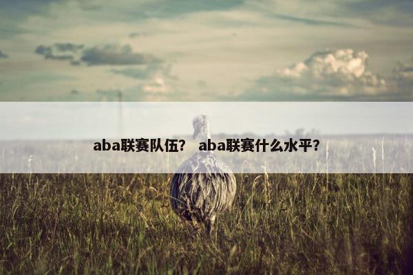 aba联赛队伍？ aba联赛什么水平？