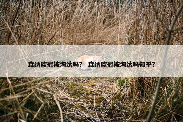 森纳欧冠被淘汰吗？ 森纳欧冠被淘汰吗知乎？