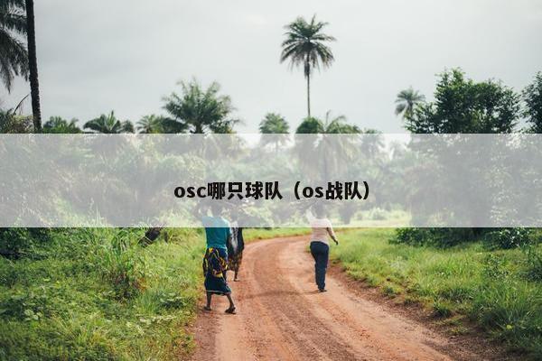 osc哪只球队（os战队）