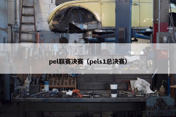 pel联赛决赛（pels1总决赛）