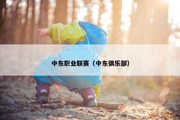中东职业联赛（中东俱乐部）