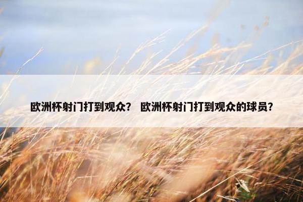 欧洲杯射门打到观众？ 欧洲杯射门打到观众的球员？