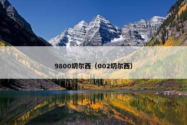 9800切尔西（002切尔西）