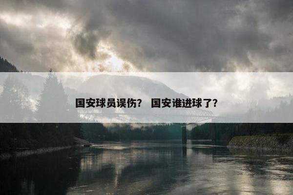 国安球员误伤？ 国安谁进球了？