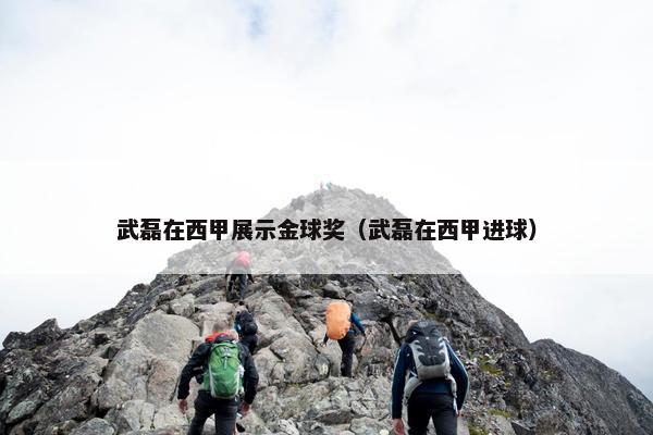 武磊在西甲展示金球奖（武磊在西甲进球）